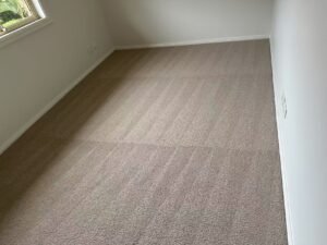 Image_20250314195505