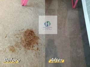 Image_20250314195529